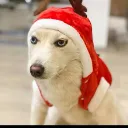 Emoji Nan_yuki