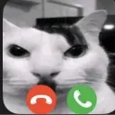 Emoji German_Cat