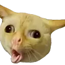 Emoji vomi