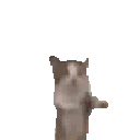 Emoji 1299joy
