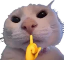 Emoji shhhhh