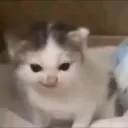 Emoji deutsh