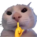 Emoji shhhhh