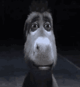 Emoji donkeystare