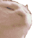 Emoji CatJamDisco