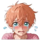 Emoji KashiCry