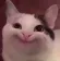 Emoji 9059happycat