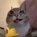 Emoji emoji_8