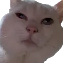 Emoji ChatPipou