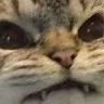 Emoji Cute_angry