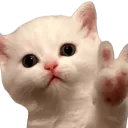 Emoji coucou