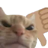 Emoji CatEmoji