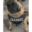 Emoji randy