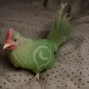Emoji Whatsappchicken