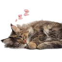 Emoji Phoebedodo