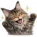 Emoji Phoebehappy
