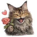 Emoji Phoebelove