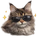 Emoji Phoebestar