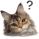 Emoji Phoebewhy