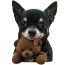 Emoji Eliotteddy