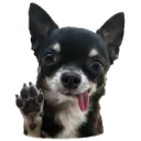 Emoji Eliothi