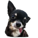 Emoji Eliotcouillon