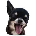 Emoji Eliotmdr