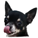 Emoji Eliotslurp