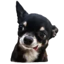 Emoji Eliotwhy