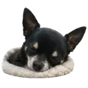 Emoji Eliotdodo