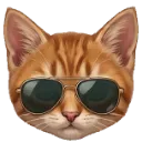Emoji Acestar