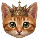 Emoji Aceking