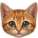Emoji Acelove