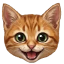 Emoji Acehappy