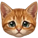 Emoji Acecry