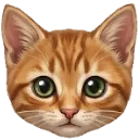 Emoji Acesmile