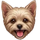 Emoji Boubahappy