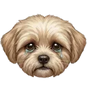 Emoji Boubacry