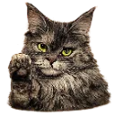 Emoji Yuumistop