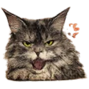 Emoji Yuumicolere