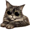 Emoji Yuumistar