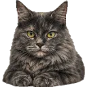 Emoji Yuumiwait