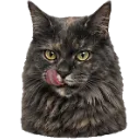 Emoji Yuumislurp