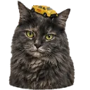 Emoji Yuumituture