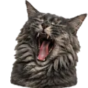Emoji Yuumihurle
