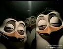 Emoji zaykoo