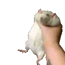 Emoji emoji_20