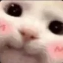 Emoji emoji_100