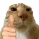 Emoji emoji_31