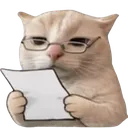 Emoji CatNoted